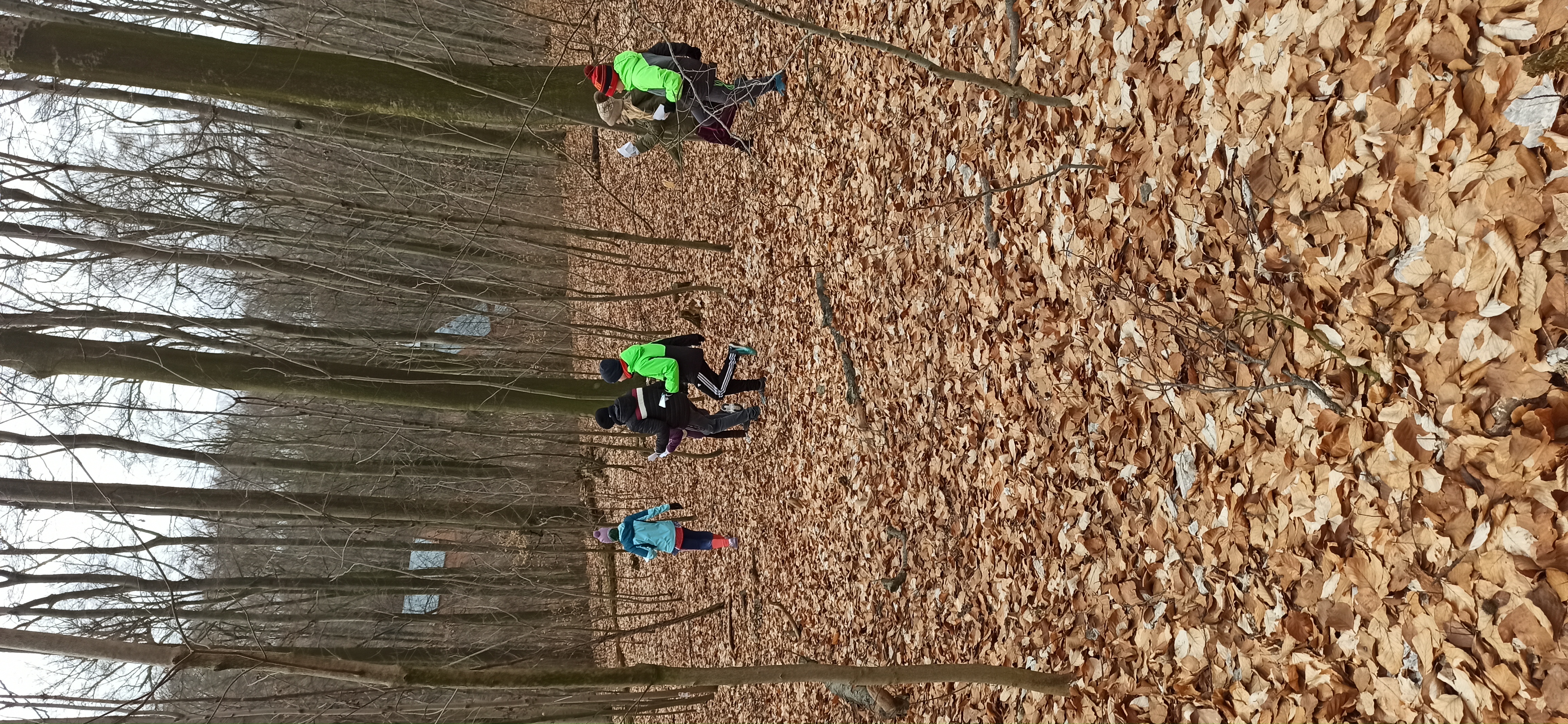 Okładka folderu - 2026.02.16-18 Ferie z orienteeringiem